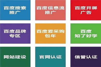 搜索引擎营销（SEM）的五大成功案例剖析
